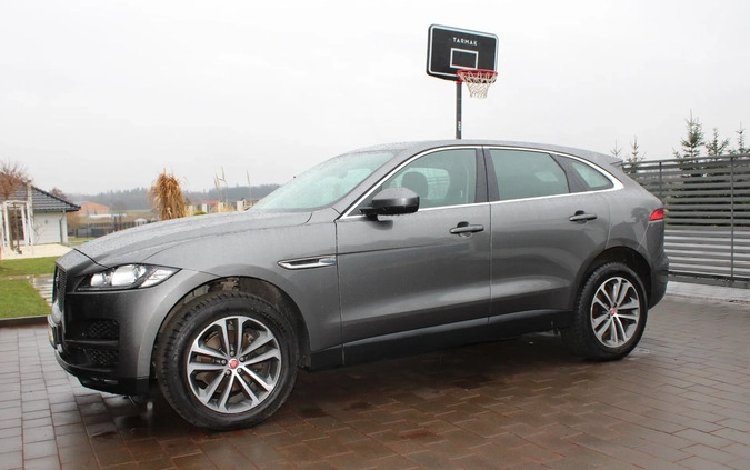 Jaguar F-Pace cena 80000 przebieg: 139000, rok produkcji 2017 z Łasin małe 596